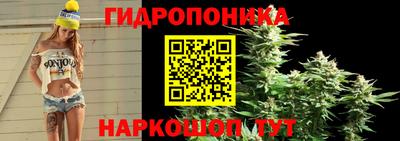 трава Нальчик