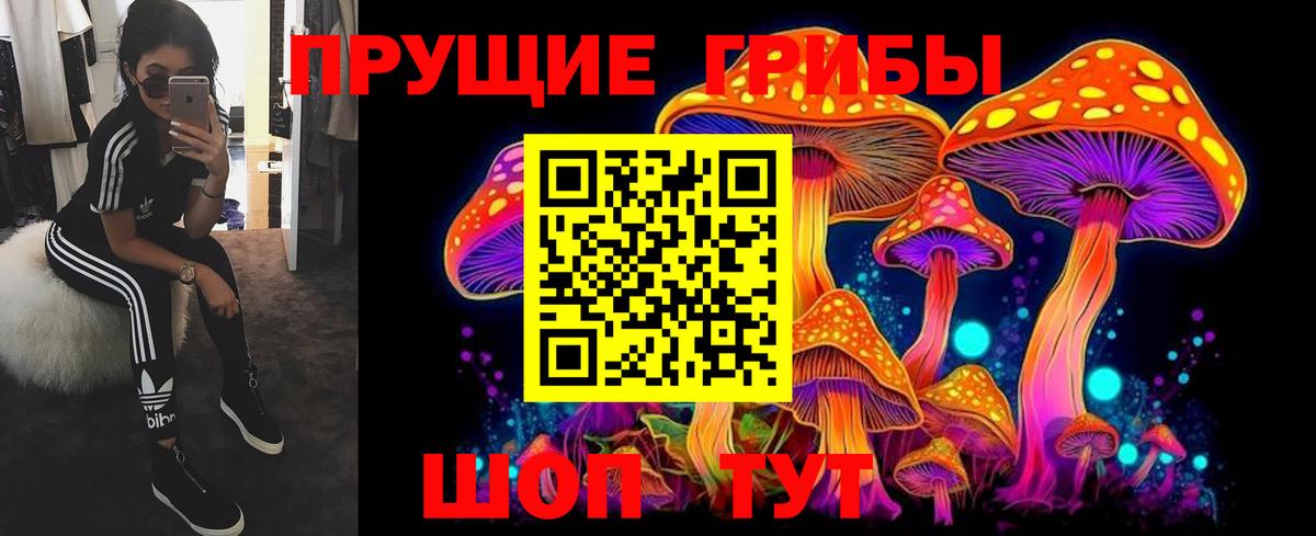 Галлюциногенные грибы Magic Shrooms  Вход с VPN  где продают наркотики  Тихвин 